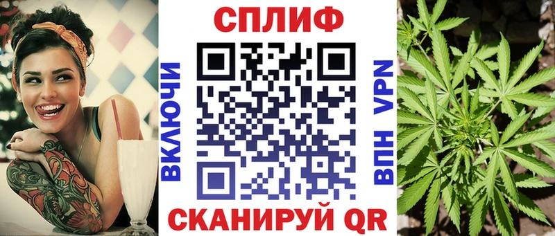 Каннабис планчик  гидра маркетплейс  Харовск 